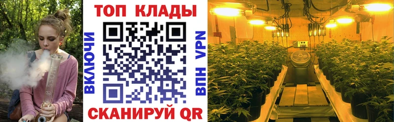 Где найти наркотики Волосово Alpha-PVP  Cocaine  Меф мяу мяу  ГЕРОИН  ГАШИШ  Марихуана 