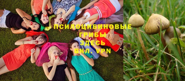 амф Бугульма