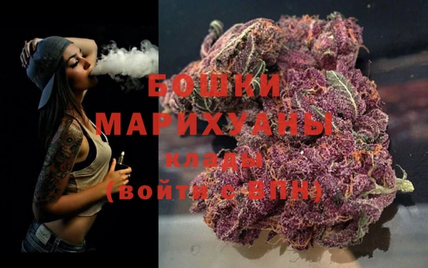 гашик Губаха